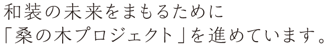 和装の未来をまもるために「桑の木プロジェクト」を進めています。